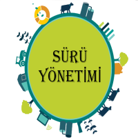 Android Uygulamalar
