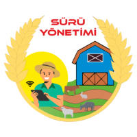 Android Uygulamalar